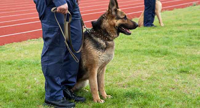 Arkansas District Adding Police Dog